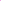 Purple Flowers On White Background