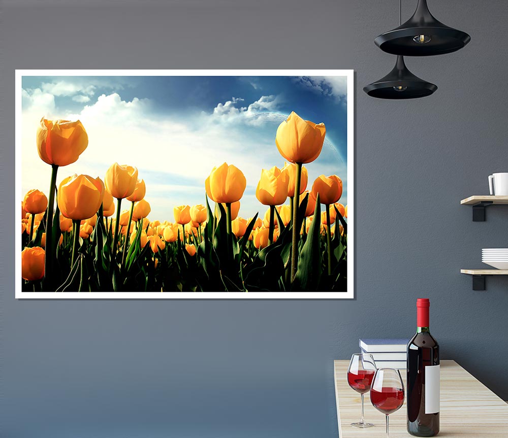 Yellow Tulips In The Cloudy Skies Print Poster Wall Art
