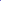 Sunflower Head On Blue