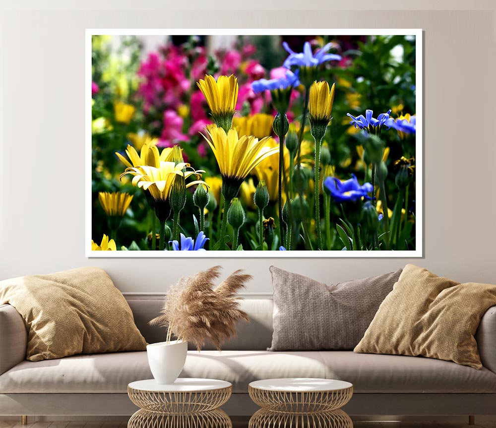 Vail Flowers In Colorado Print Poster Wall Art