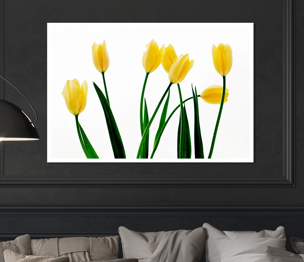 Yellow Tulip March Print Poster Wall Art