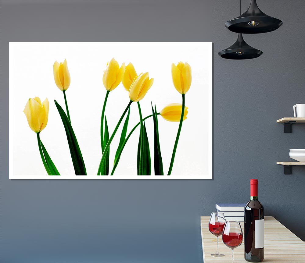Yellow Tulip March Print Poster Wall Art