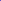Electric Blue Petals