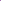 Daisy Centre Purple
