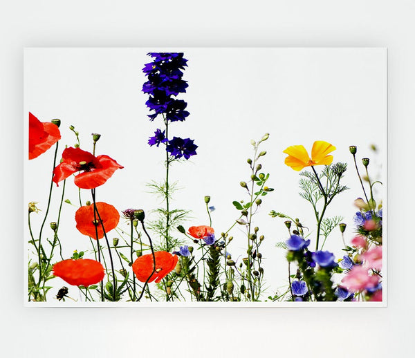 Wild Flower Garden In Bloom Print Poster Wall Art
