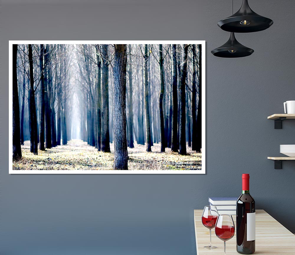 Trees Line Up In Winter Print Poster Wall Art