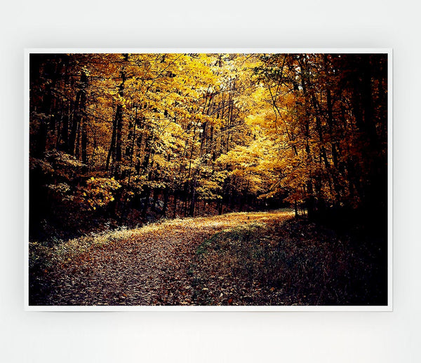 Forest Road Print Poster Wall Art