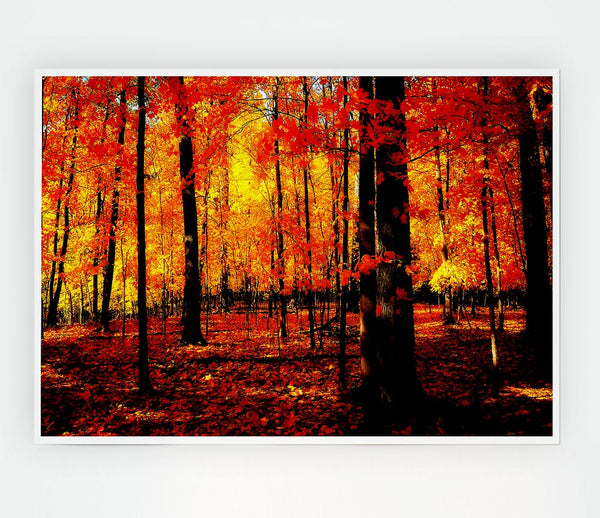 In The Depth Of The Orange Forest Print Poster Wall Art
