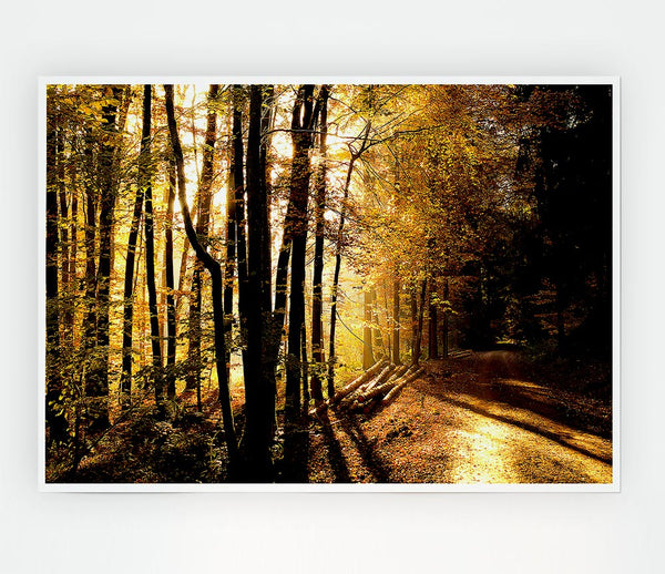 Beautiful Forest Road Autumn Print Poster Wall Art