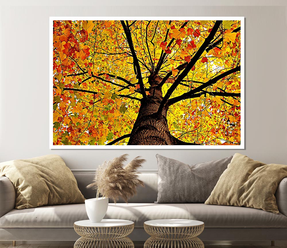 Yellow Autumn Tree Print Poster Wall Art