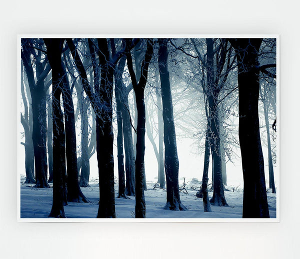 Cold Day Print Poster Wall Art