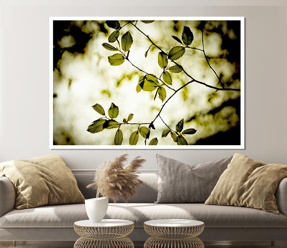 Twigs With Green Leaves Print Poster Wall Art