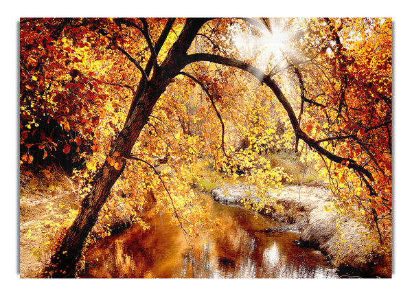 Creek Autumn 2