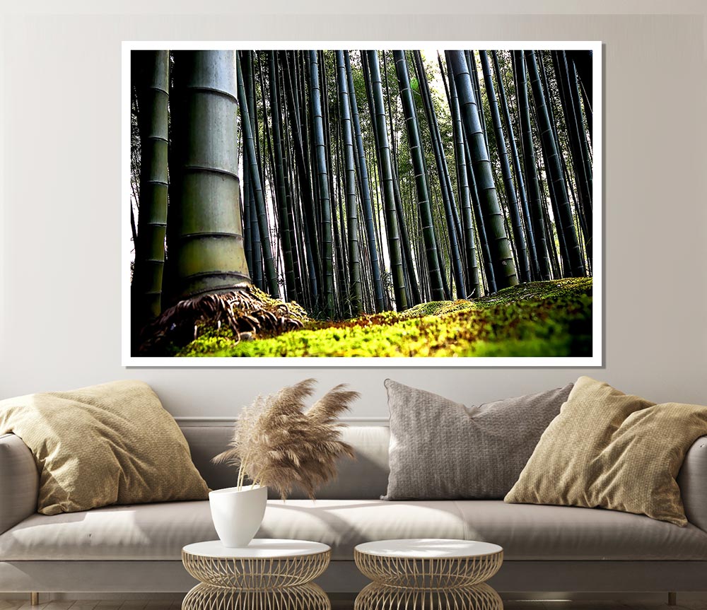 Huge Bamboo Forest Print Poster Wall Art