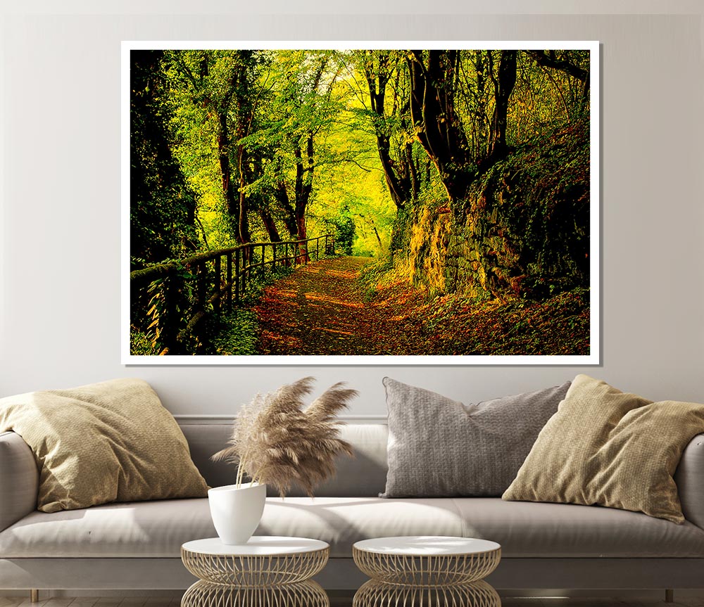 Forest Walking Path Print Poster Wall Art