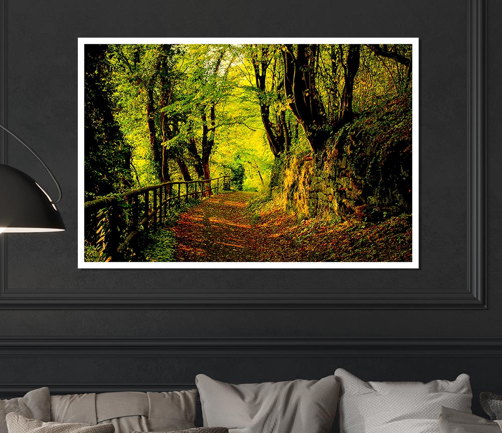 Forest Walking Path Print Poster Wall Art