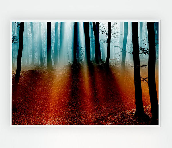 Autumn Forest Blue Sun Beams Print Poster Wall Art