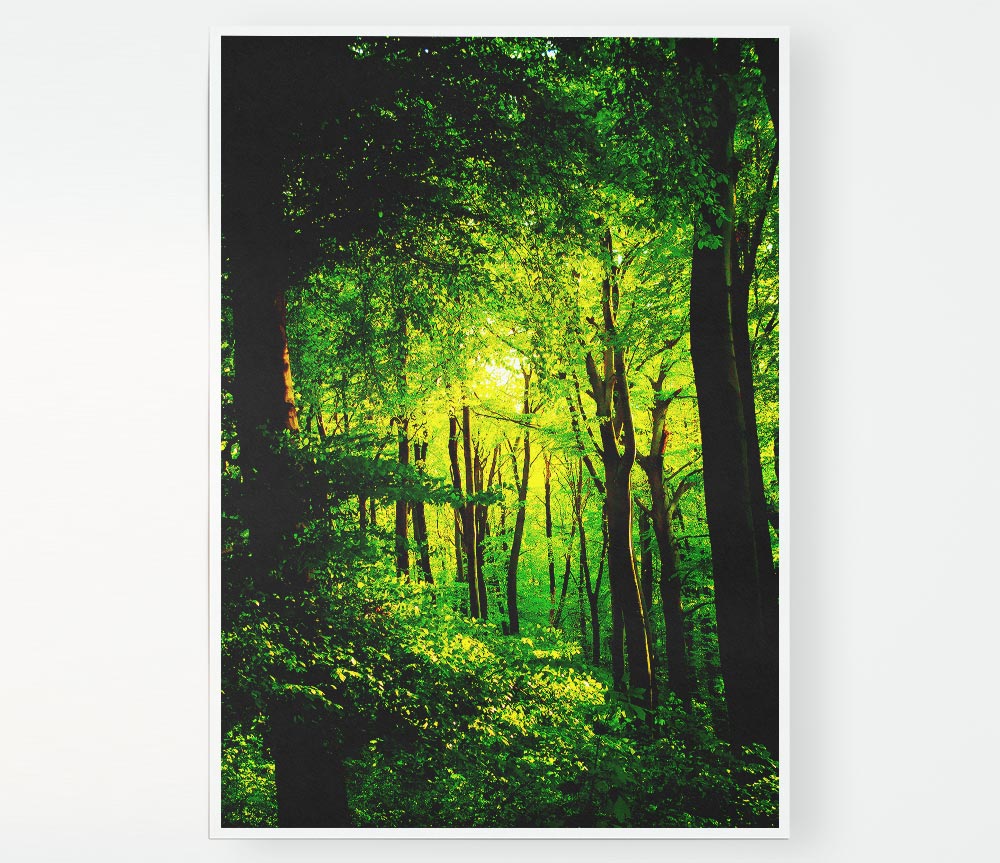 Emerald Forest Walk Print Poster Wall Art
