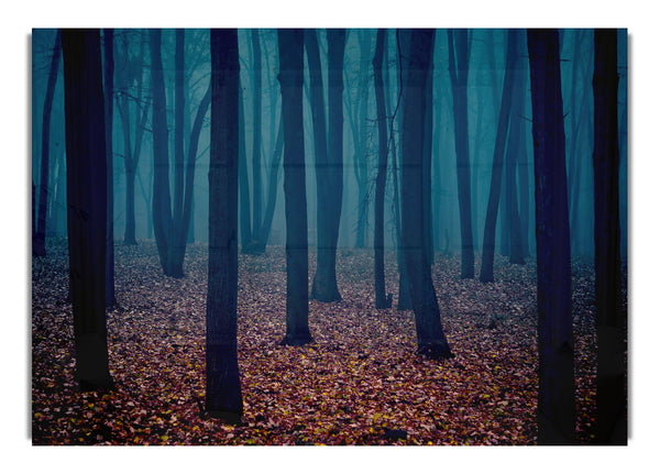 Dark Forest Mist