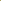 Kiwi Fruit