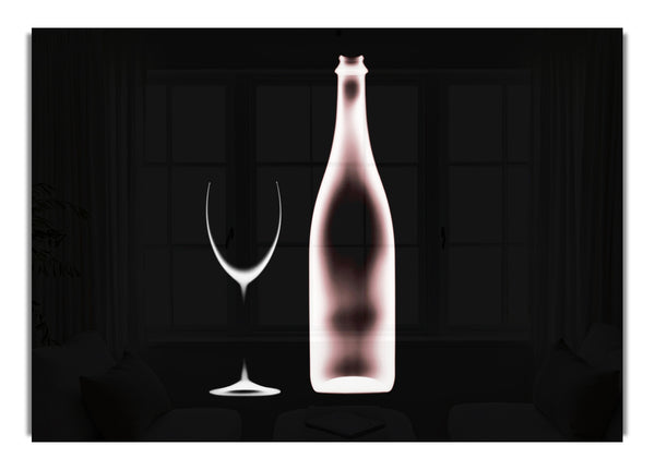 X Ray Wine Bottle