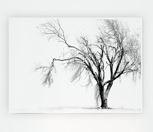 Cold Winter Tree Print Poster Wall Art
