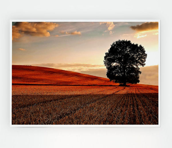 Lonesome Tree In The Field Autumn Print Poster Wall Art