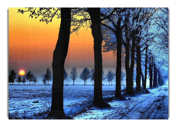 Winter Landscape With Orange Sky