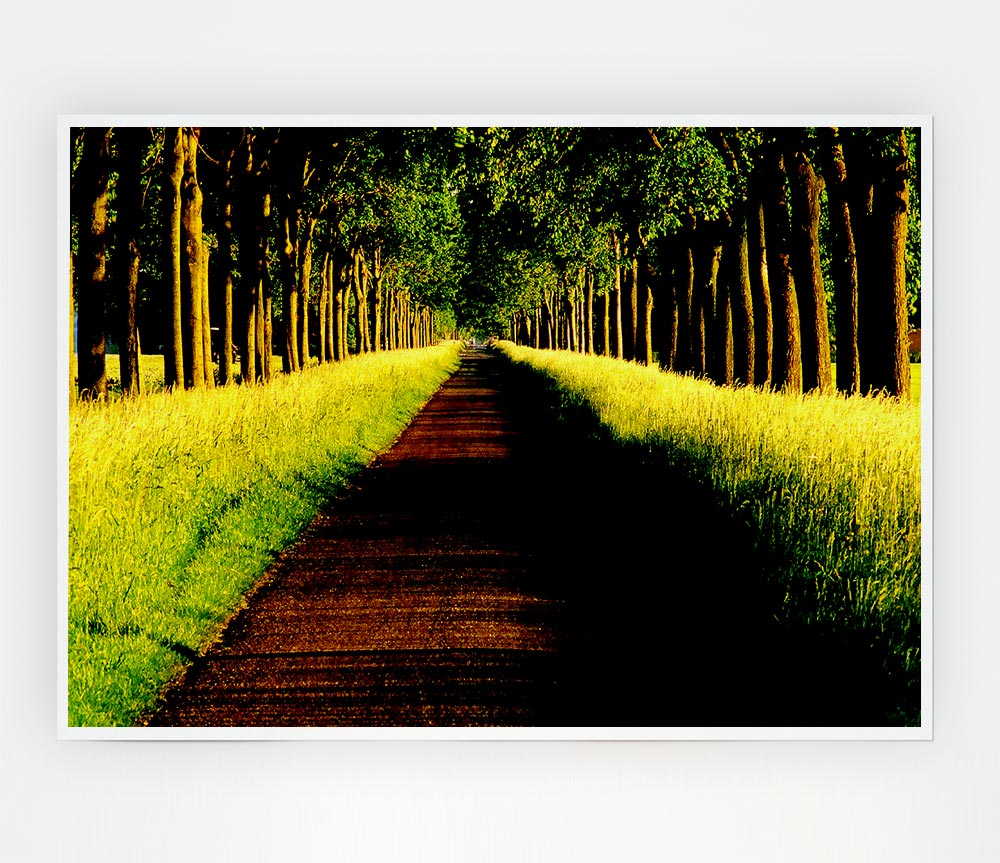 Tree Alley Print Poster Wall Art