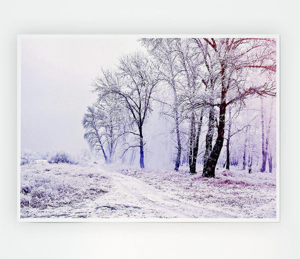 Beautiful Snowy Forest Print Poster Wall Art