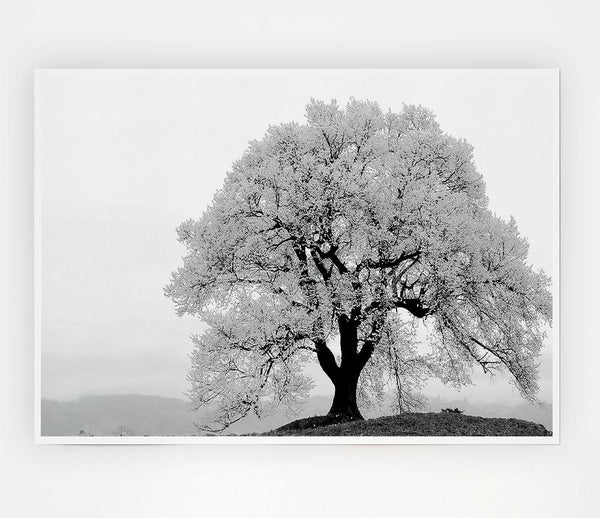 Blossomed Tree Print Poster Wall Art