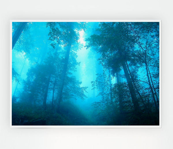Foggy Forest Print Poster Wall Art