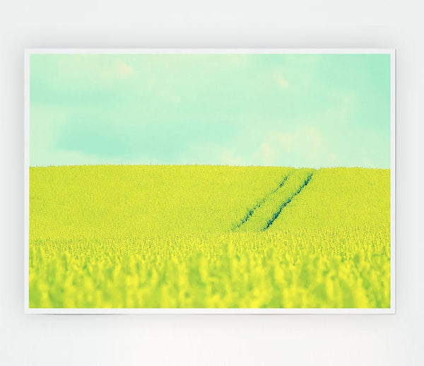 Beautiful Mustard Field Print Poster Wall Art
