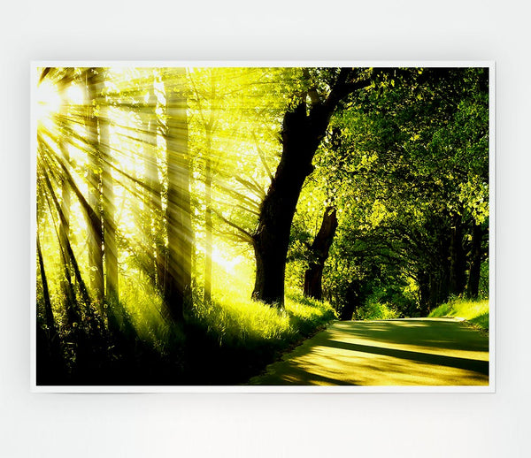 Green Nature Dual Monitor Other Print Poster Wall Art