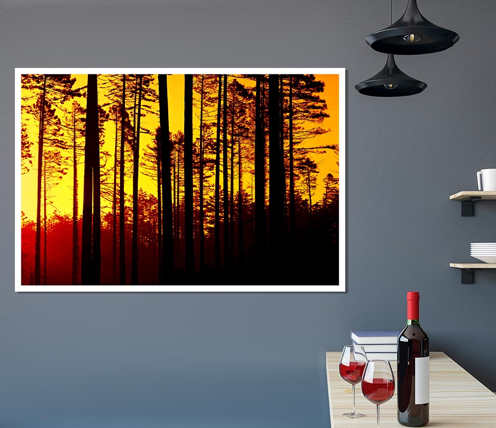 Through The Trees Print Poster Wall Art