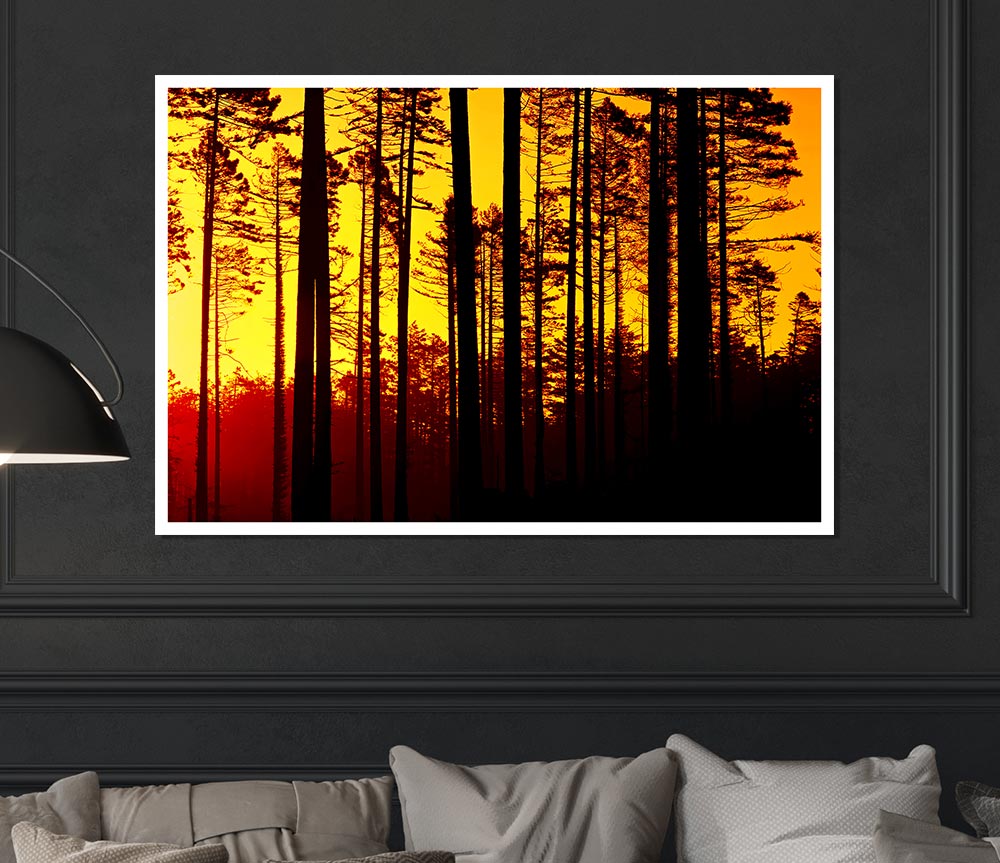 Through The Trees Print Poster Wall Art