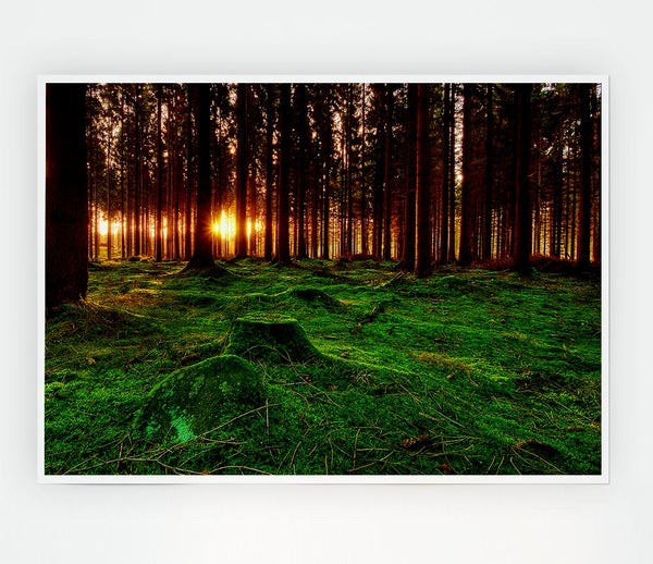 Beyond The Trees Print Poster Wall Art