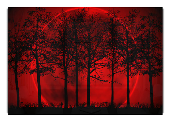 Red Forest Sun