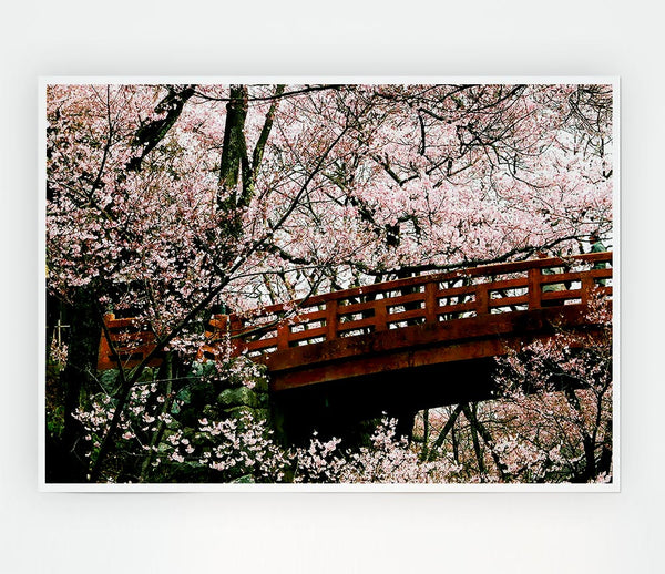 Cherry Blossom Bridge Print Poster Wall Art