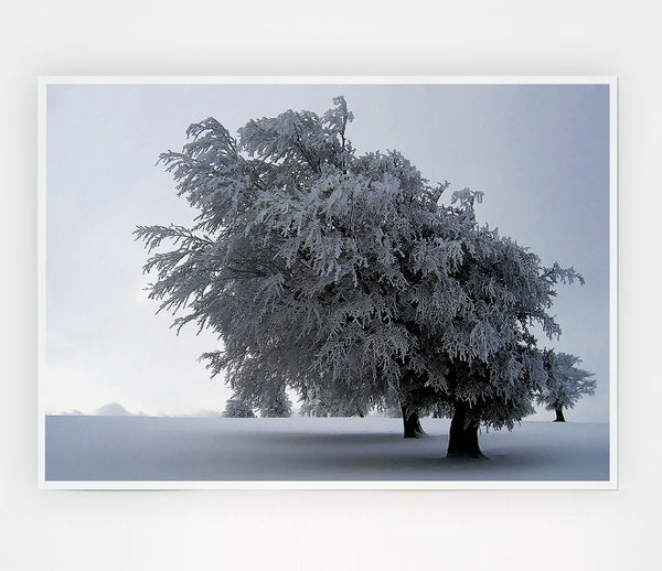 In The Dead Of Winter Print Poster Wall Art