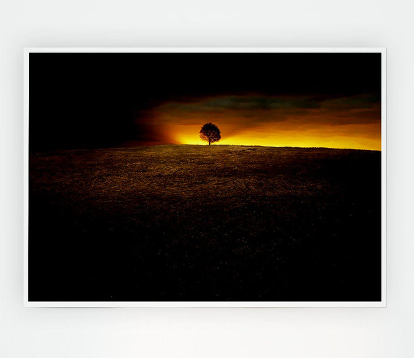 Lonely Tree At First Light Print Poster Wall Art