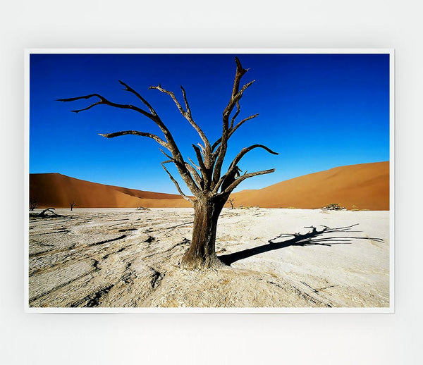 Desert Tree Branches Print Poster Wall Art