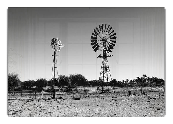 Windmills In The Desert B~w
