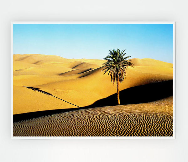 Desert Palmtree Print Poster Wall Art