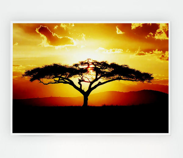 African Tree At Sunset Print Poster Wall Art