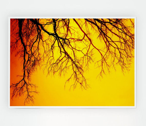Golden Tree Branches Print Poster Wall Art