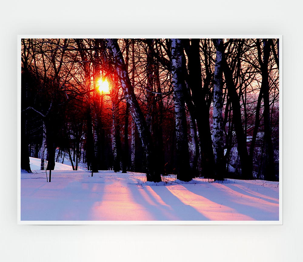 Winter Woodland Sun Print Poster Wall Art