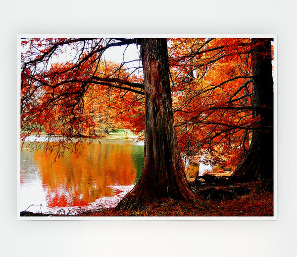 Autumn Orange River Reflections Print Poster Wall Art