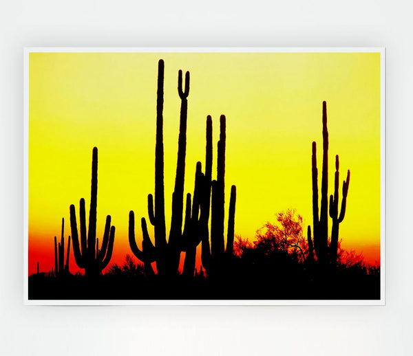 Desert Cactus Sunrise Print Poster Wall Art