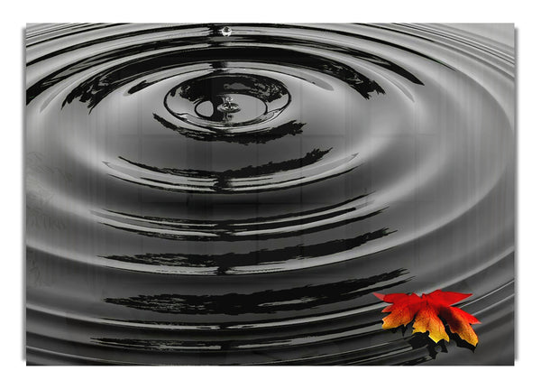 Water Ripple Red Leaf